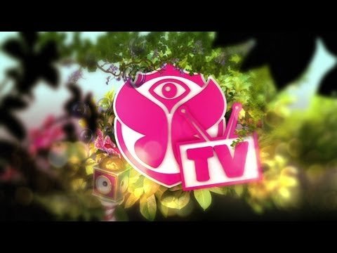 Бельгия: Фестиваль Tomorrowland 2014 25 — 27 июля Прямой эфир / Трансляция