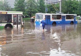 Москва путина завоняла 10 ноября 2014 года: Москвичи жалуются на сильный запах сероводорода