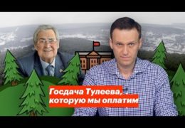 Воровской дворец притон Тулеева в Кемерово: Мерзкая скотина за забором в лесу