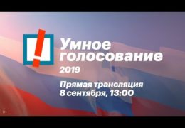 Выборы 08 сентября 2019 года: Поганая власть и Умное голосование / Прямой эфир